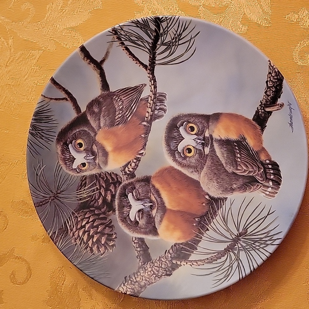The Bradford Exchange Forty Winks Saw Whet Owls Collector plate